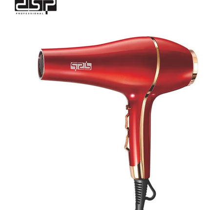 DSP Professional Hair Dryer 1500W with 2 Speeds and 3 Heat Settings,Black