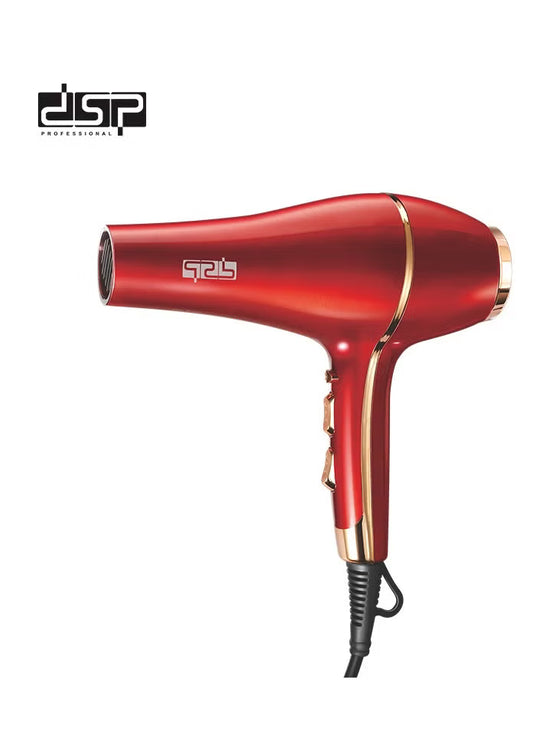 DSP Professional Hair Dryer 1500W with 2 Speeds and 3 Heat Settings,Black