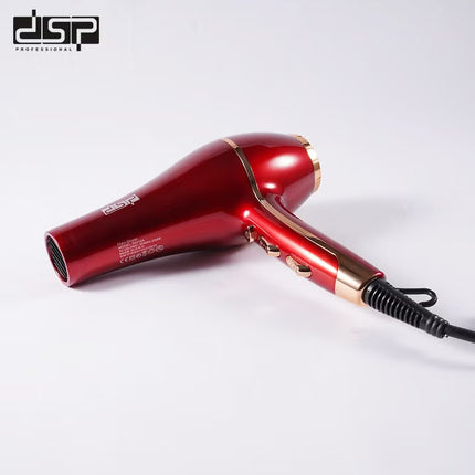 DSP Professional Hair Dryer 1500W with 2 Speeds and 3 Heat Settings,Black