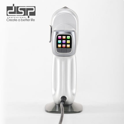 Dsp Handheld Garment Steamer 3in1 170ml / 1350W/ KD1399