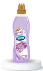 Lavander