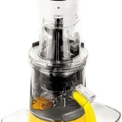 DSP KJ3071 Professional juicer machine 250W Fruit juicer-Whole Slow juicer