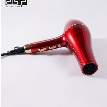 DSP Professional Hair Dryer 1500W with 2 Speeds and 3 Heat Settings,Black