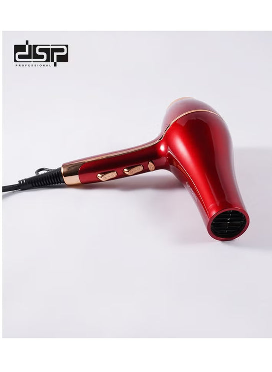 DSP Professional Hair Dryer 1500W with 2 Speeds and 3 Heat Settings,Black