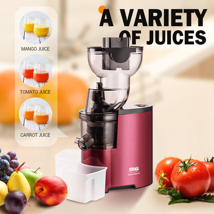 DSP Hot Sale Manufacture Fruit Orange Whole Slow Juicer Big Power Electric Centrifugal Juicer Press Fruit Slow Juicer Machine